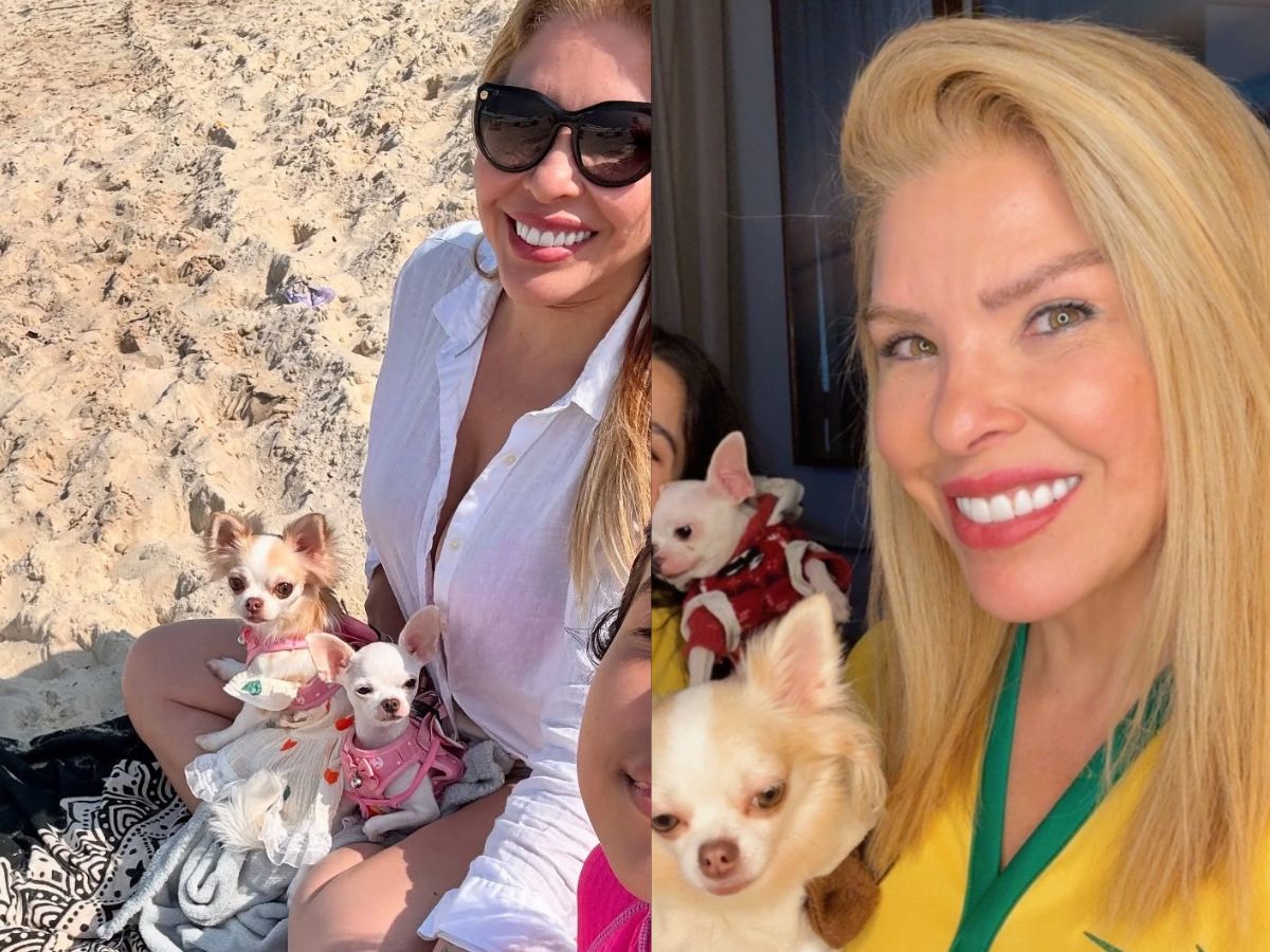 Veronica Costa, ex-vereadora, é acusada de maus-tratos a animais após prisão